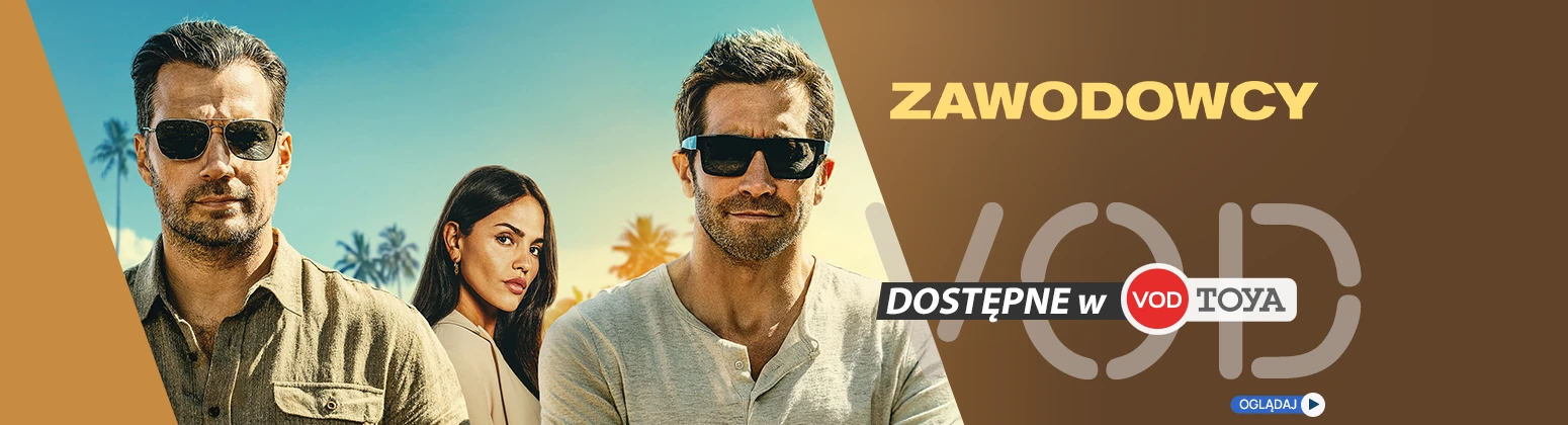 Zawodowcy