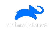 Animal Planet HD