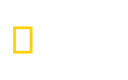 National Geographic Wild HD